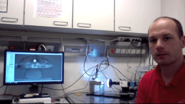 Zebrafish Embryo Cell Testing at IST in Austria