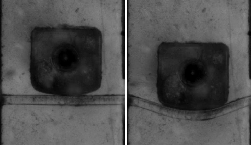 A Platform for Generation of Chamber-Specific Cardiac Tissues and Disease Modeling