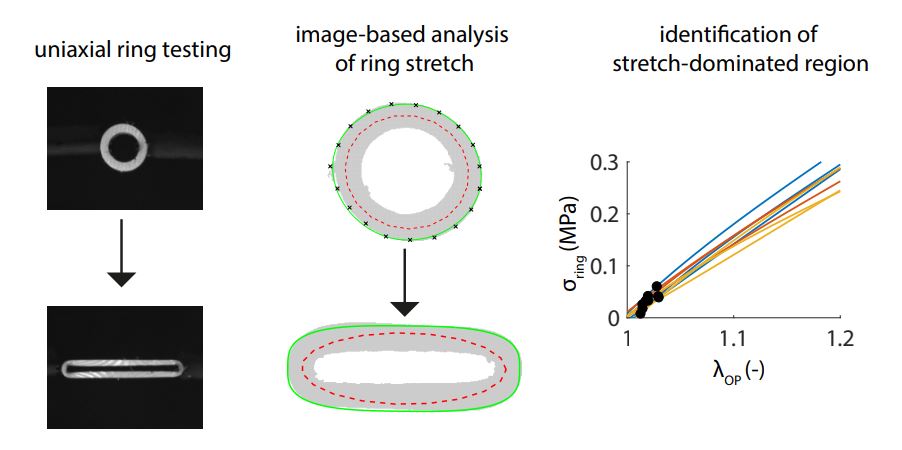 Image-based Analysis of Uniaxial Ring Test
