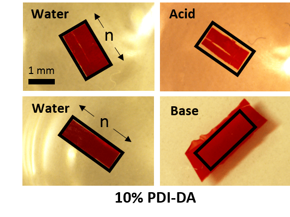 Molecularly-ordered Hydrogels with Controllable Response