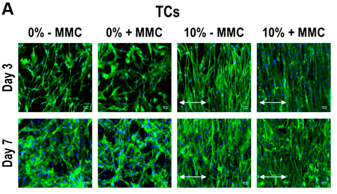 Multifactorial Bottom-up Bioengineering Approaches to Develop Living Tissue Substitutes