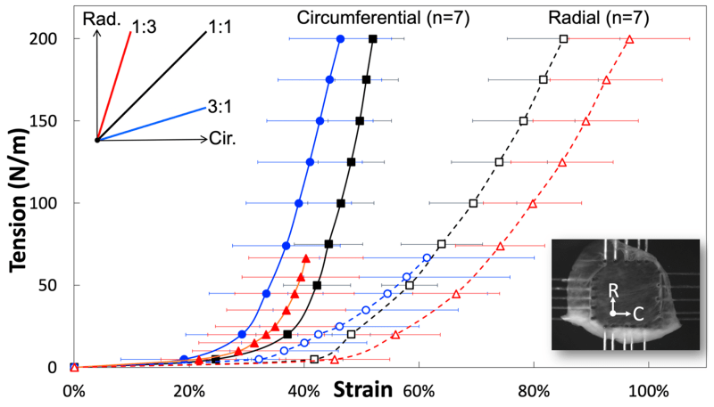 Investigating the Venous Valve Tissue Mechanical Properties and ECM