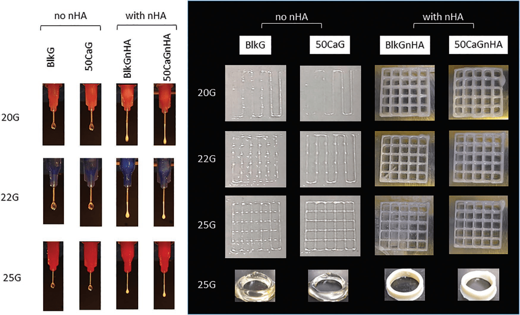 3D Bioprinting with Methacrylated Gelatin Upon Inclusion of Chroride Salt and Nano-Particles