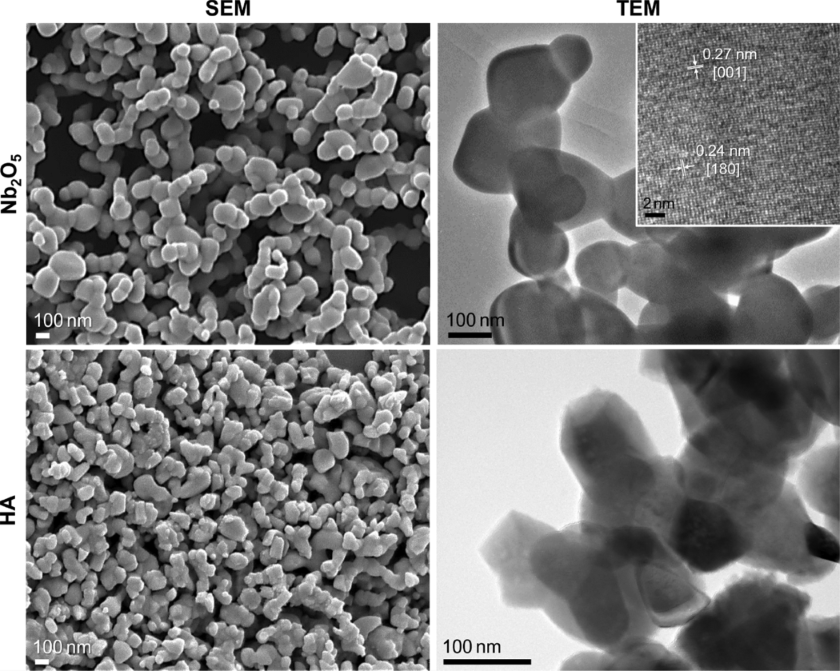 Nb2O5 and HA Particle Loaded Electrospun PCL/GL Membranes for Bone Tissue Engineering