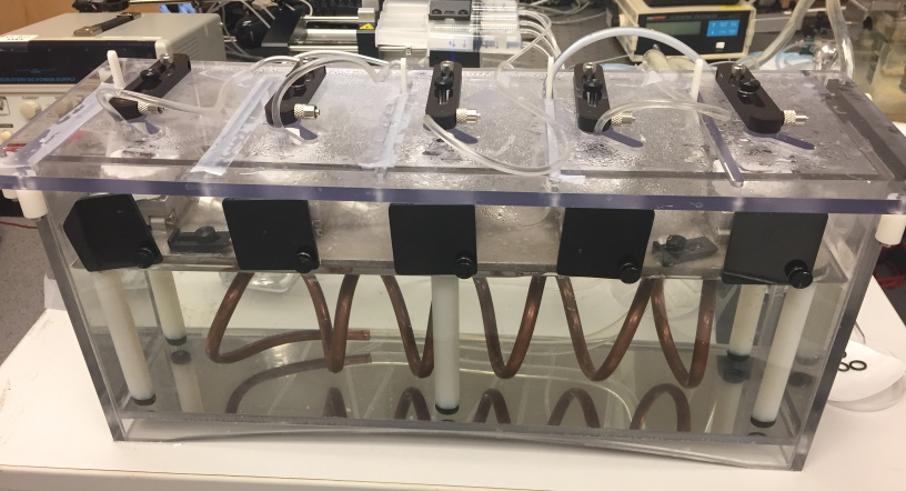 Optimization for Accelerated Corneal Crosslinking Procedure