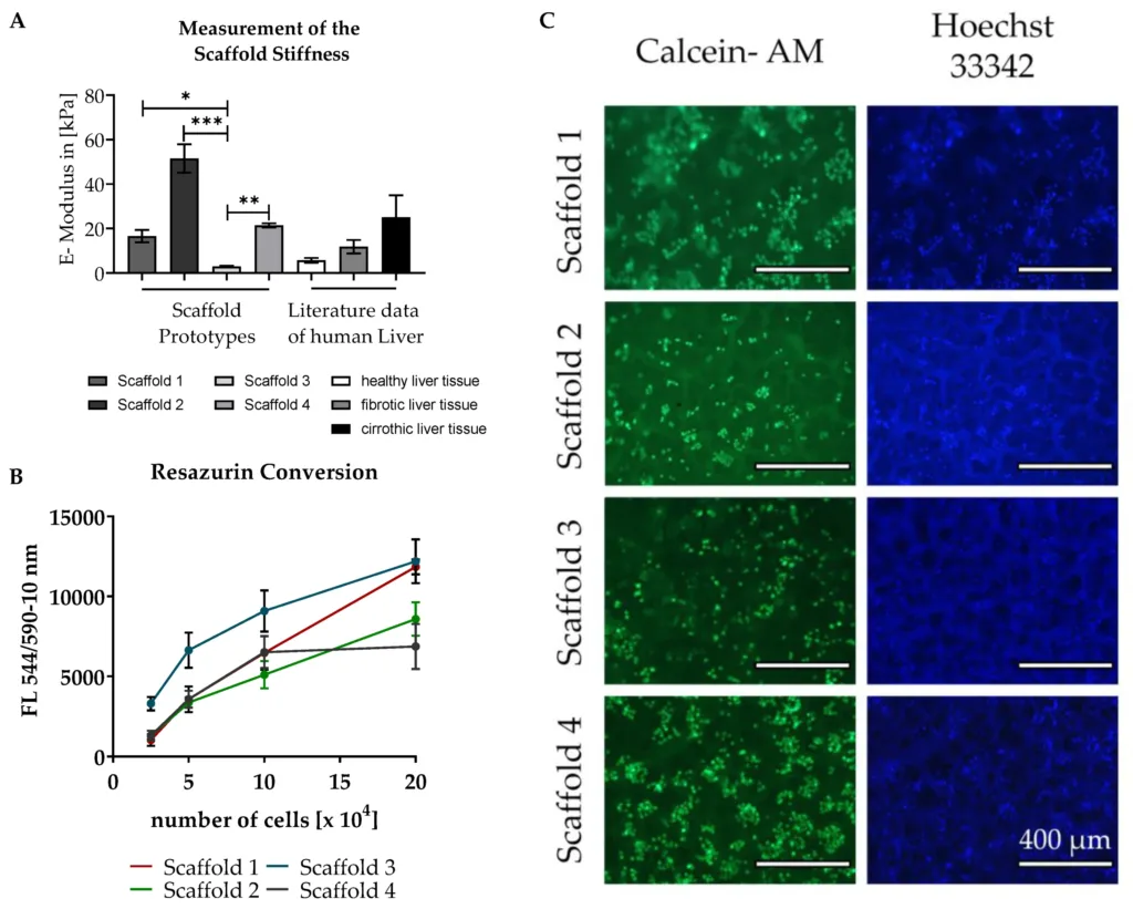 Compression-testing results comparing scaffold stiffness with healthy and fibrotic liver rigidity