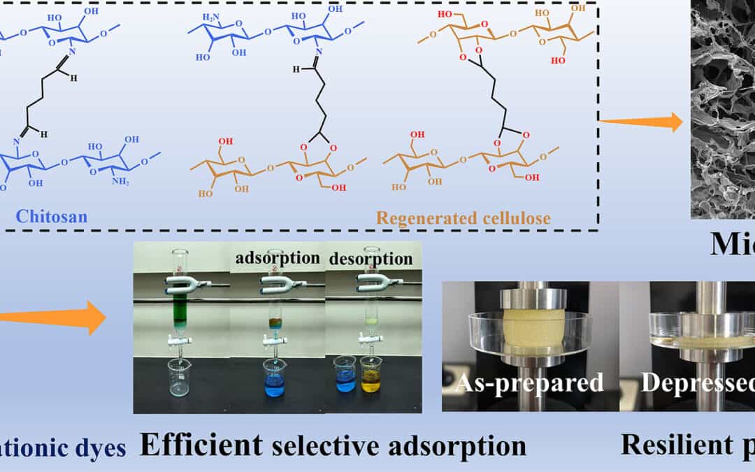 A New Aerogel For the Removal of Toxic Anionic Dyes From Wastewater