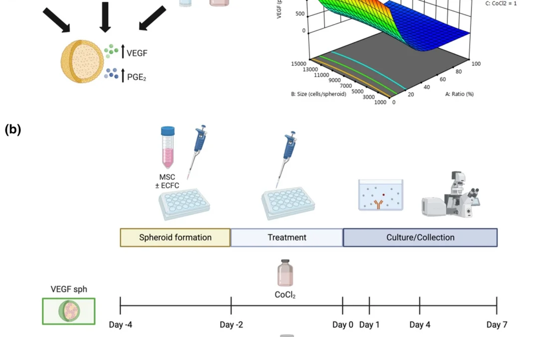 Tuning the Microenvironment to Create Functionally Distinct Mesenchymal Stromal Cell Spheroids