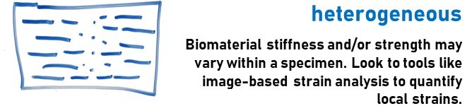 Tools like image based strain analysis to quantify local strains