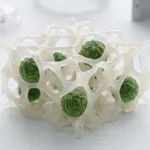 Featured illustration of a 3D bioprinted osteosarcoma model with tumour spheroids embedded in a trabecular-like hydrogel scaffold