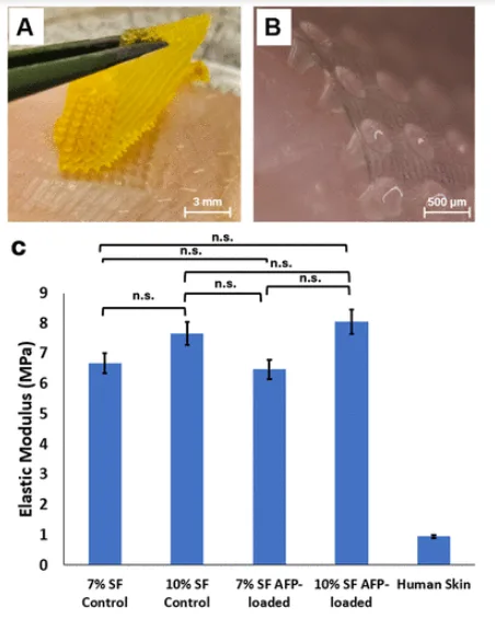 Mechanical testing of silk microneedles for antifreeze protein delivery showing porcine skin insertion and patch elastic modulus.