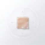 A porcine pericardium sample on a white bench, with arrows indicating biaxial mechanical testing directions