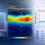 Featured illustration showing a layered tissue phantom under compression, an elastography heatmap, a phase velocity versus depth graph, and an AI neural network used to support depth-resolved stiffness analysis.