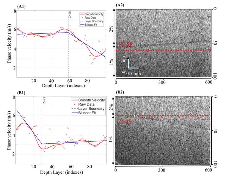 Depth-resolved phase velocity profiles and B-scan images for two-layer agar phantoms used to evaluate AI-based elastography measurements.